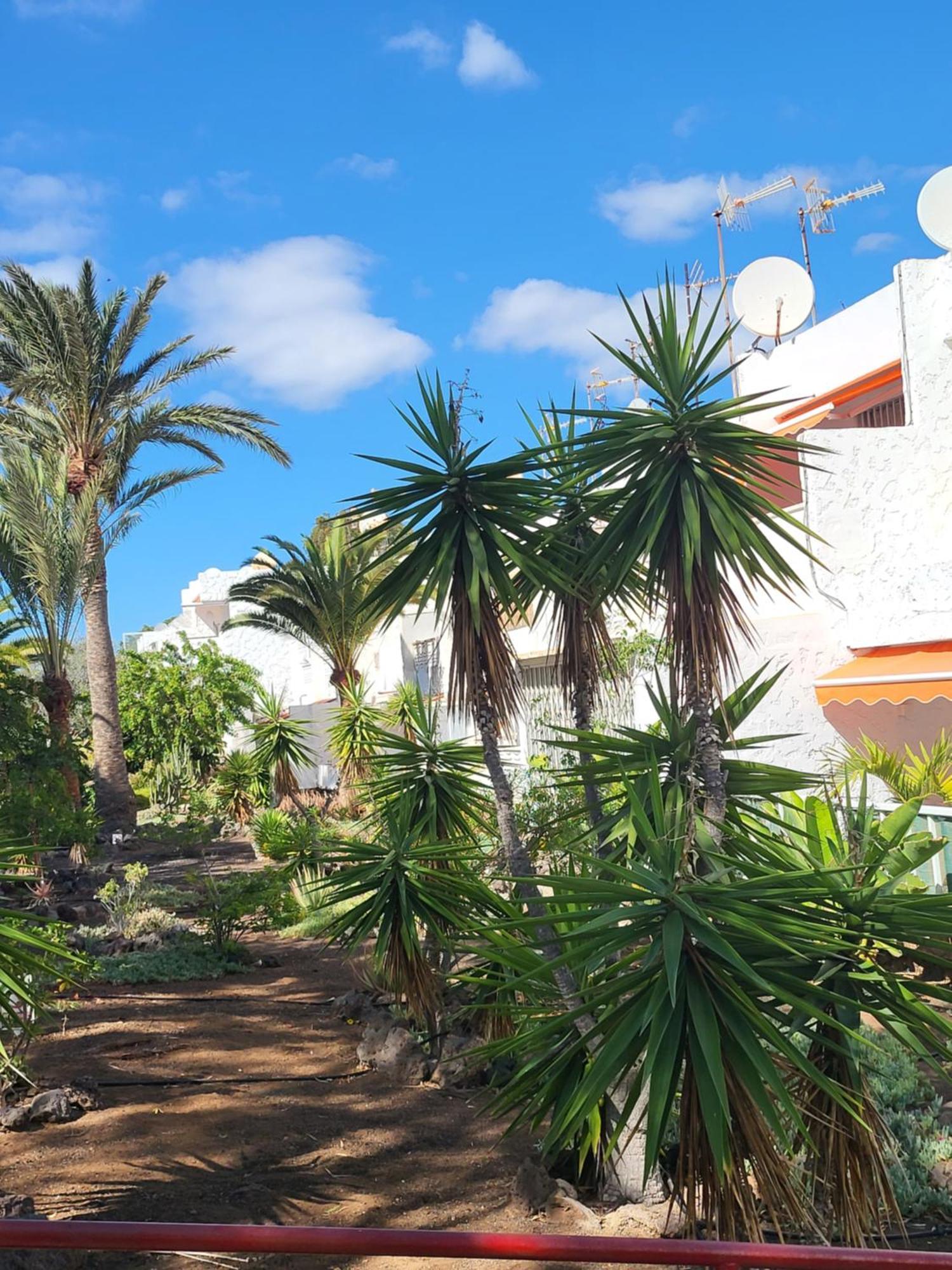 Casa Iry Apartment Costa Del Silencio Luaran gambar